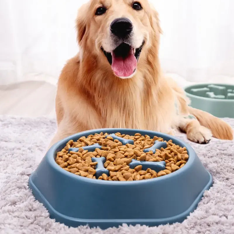 Slow Feeder Pet Bowl