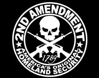 2ND Amendment Americas Original Homeland Security Molon Labe Decal Vinyl Sticker|Cars Trucks Vans Walls Laptop| White |5.5 x 5.5 in|CCI1099